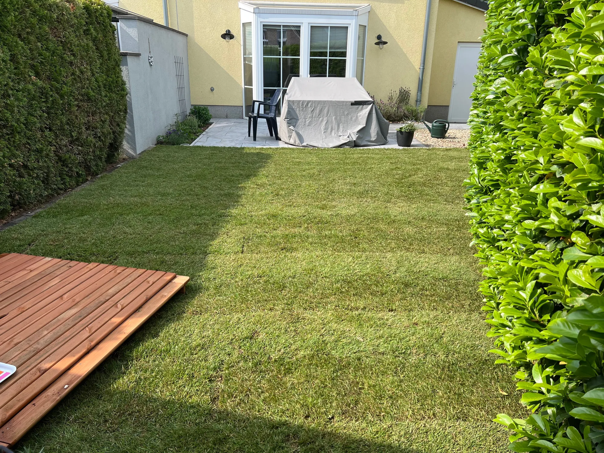 Fertige Terrasse mit frisch verlegtem Rollrasen