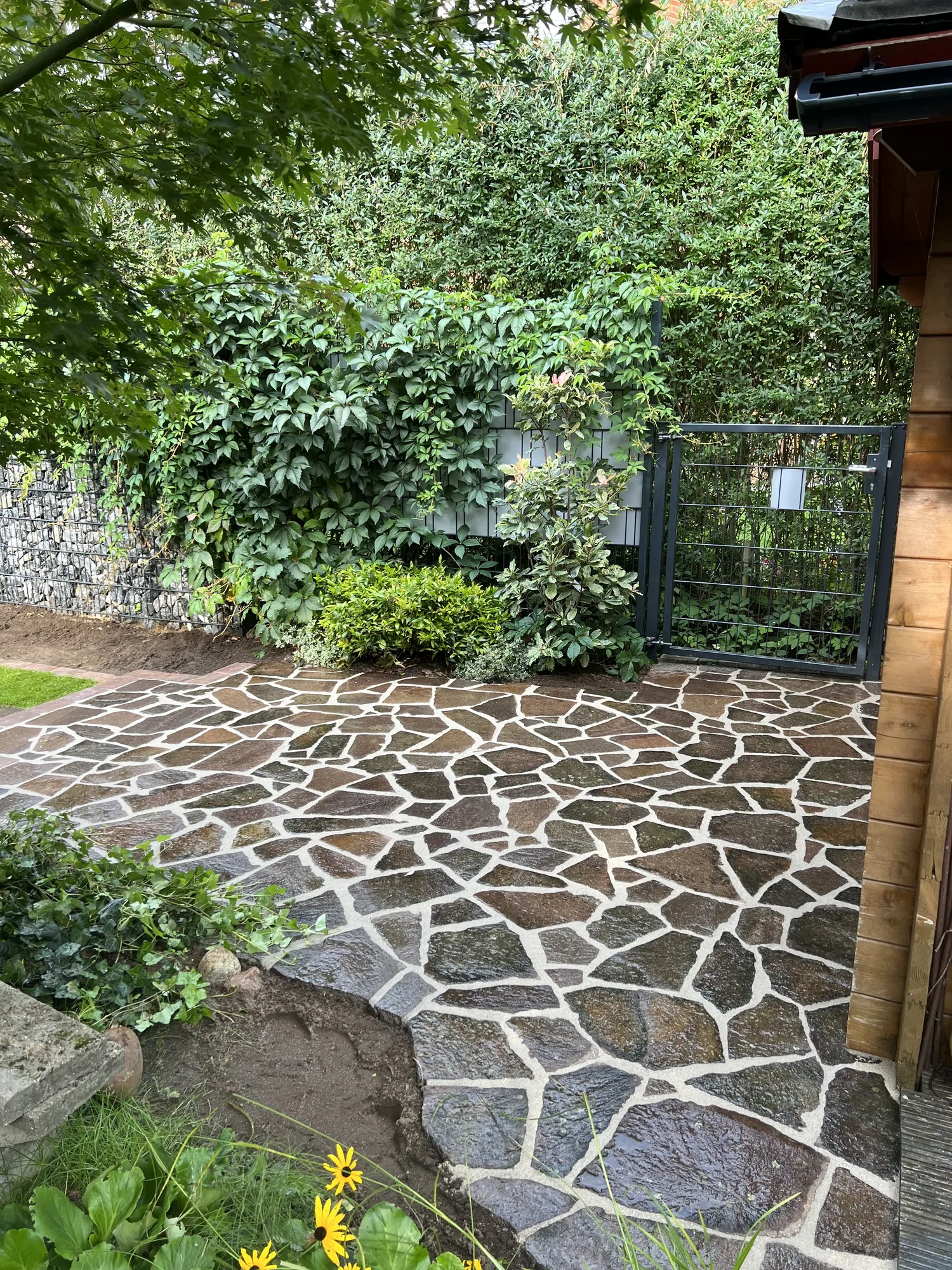 Polygonalplatten für Terrasse und Wege in Reppenstedt